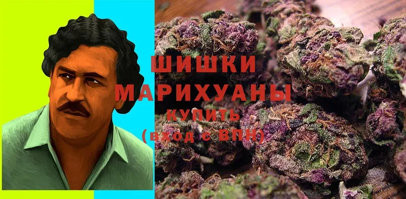 Конопля Ganja  Бирюсинск 